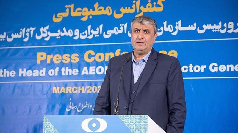 AEOI Head: Iran's Actions Based on Parliament’s Strategic Law, Safeguards, NPT, Not JCPOA