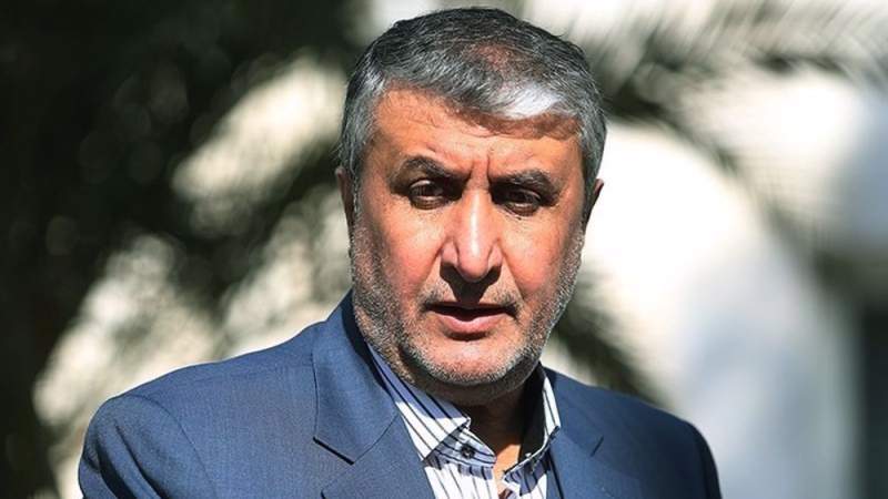 Iran Nuclear Technology Has Overcome 20 Years of Sabotage: AEOI Chief