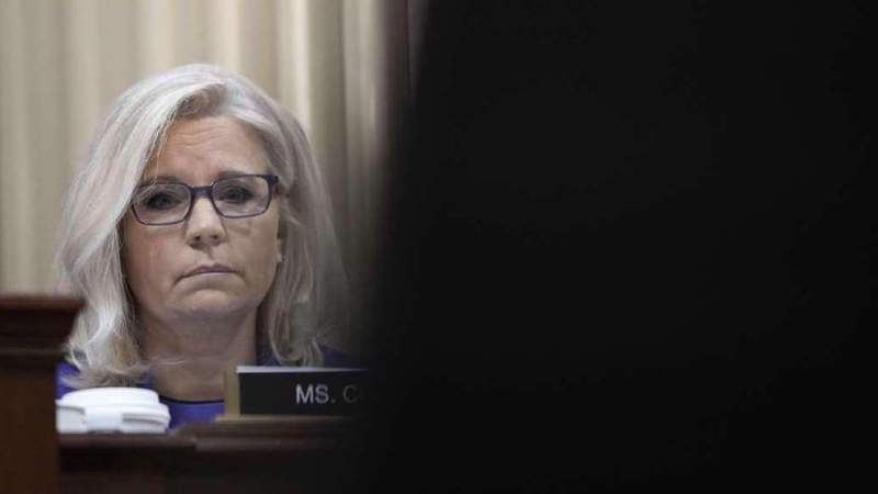 Cheney Gives the Lie to 'Anglo-Saxon Jurisprudence': Analyst