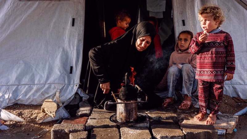 Doctors Without Borders Sounds Alarm on Threats to Humanitarian Work in Gaza