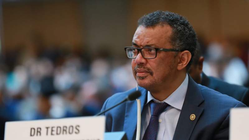 WHO Chief Raises Alarm Over escalating Healthcare Crisis in Gaza