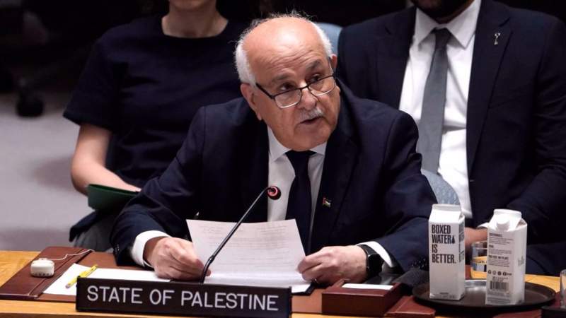‘History Will Judge Us All’: Palestinian Envoy Urges UNSC to End ‘Unbearable Agony’ of Gaza