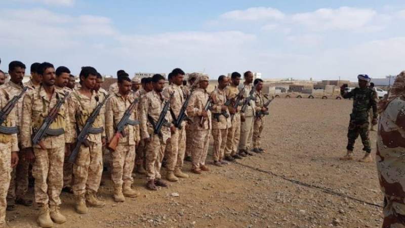 UAE Expands Military Footprint on Socotra, Stoking Tensions in Strategic Yemeni Archipelago