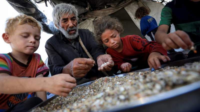 One in Three People in Gaza Has Not Eaten for Days, Says UN’s Top Humanitarian Official