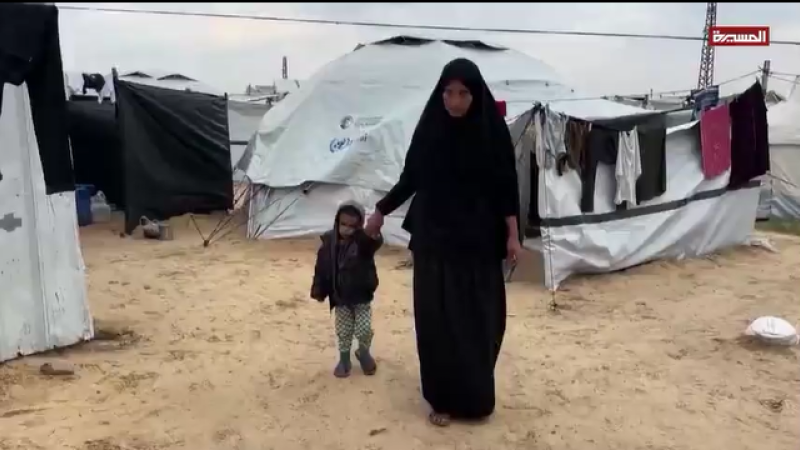 No Longer a Famine' But Still Starving: Gaza's Food Insecurity Persists Post-Ceasefire