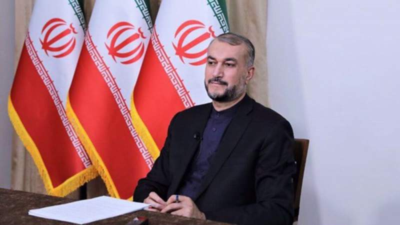  Iran FM: Some EU States Miscalculated About Recent Riots 