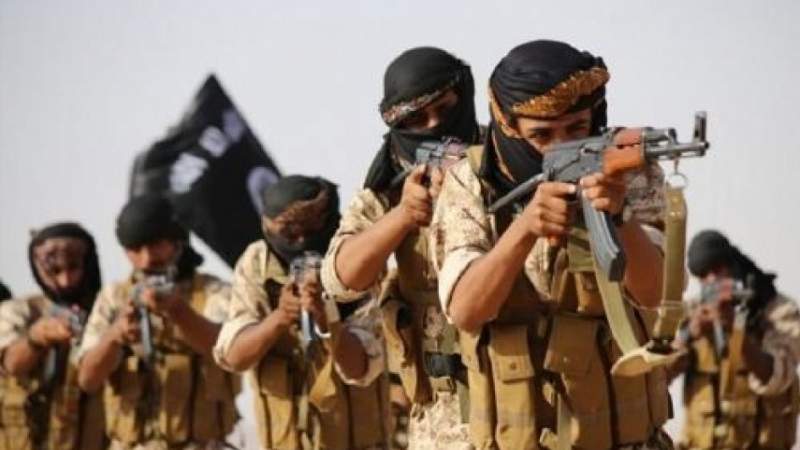 Liberating Al-Baidha from Daesh Is A Painful Strike to Saudi-led Aggression against Yemen 