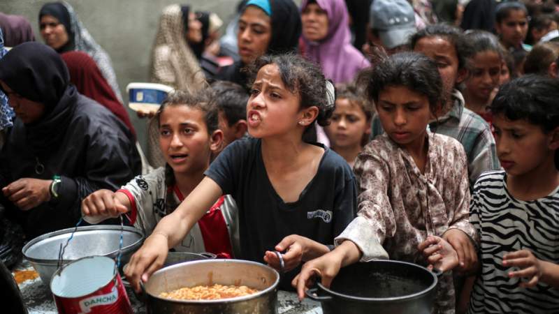 Gaza Humanitarian Work on 'Verge of Total Collapse': Red Cross