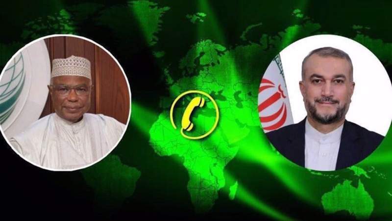 Iran Calls for Emergency OIC Meeting on Israeli Aggression in Rafah 