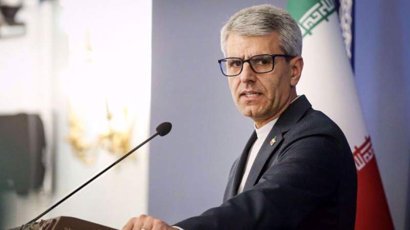 FM Spox Condemns Israel’s ‘Most Brutal Aggression’, Shares Stories of Civilian Victims