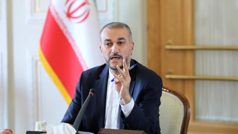 Iranian FM: US Planned IAEA Resolution to Get Concessions from Iran in Vienna Talks 