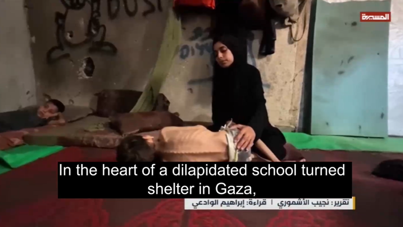 Mother of Six Struggles to Feed Her Children Amid Zionist Starvation War in Gaza