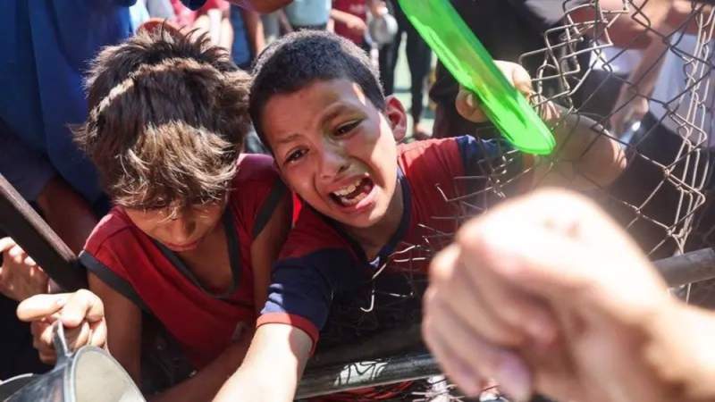 Israel Forces Kill More Than 70 Aid Seekers in Gaza: Health Ministry