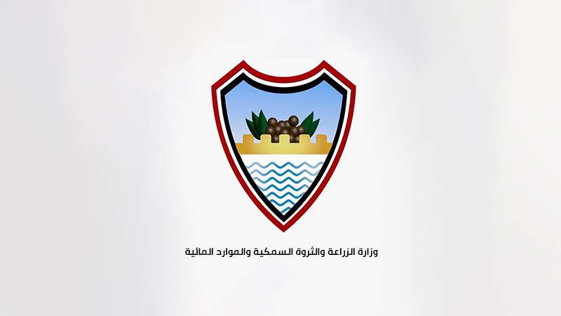 Yemen’s Agriculture Ministry Warns of Environmental Disaster in Socotra, Blames UAE for Dolphin Deaths