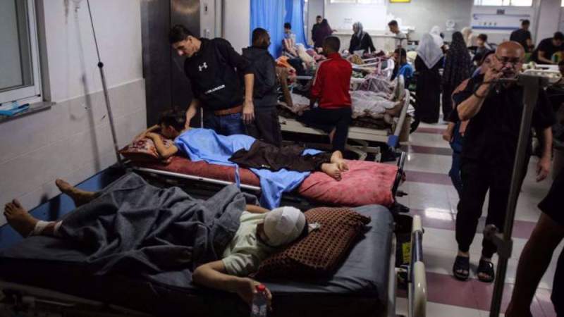 Palestinian Health Ministry Urges Global Action for Gaza Medicine, Fuel Supply