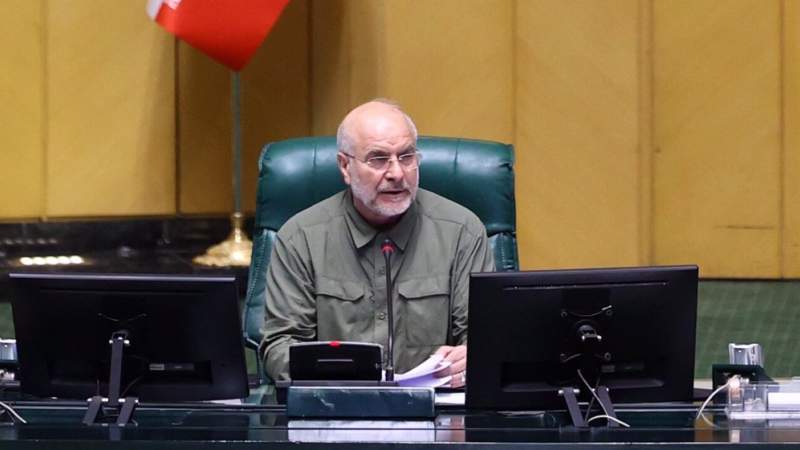 Iran Endorses Any Palestinian-Backed Initiative to End Israeli Genocide in Gaza: Parliament Speaker