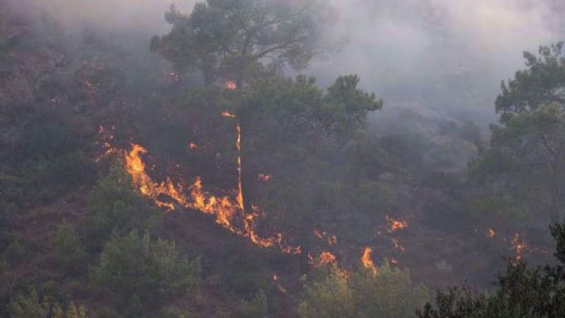Thousands Evacuated to Safety as Wildfires Rage on Greek Island of Rhodes
