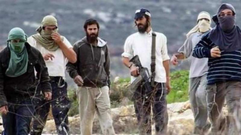 Israeli Settlers Seize Hundreds of Acres of Palestinian Farmland in West Bank