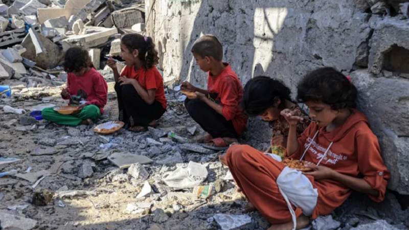 American Medics Recall Horrors of Israeli Genocide in Gaza