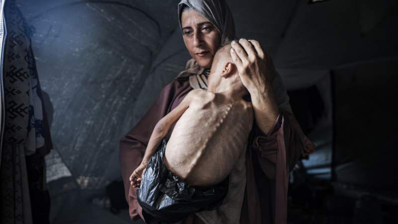‘No Innocents in Gaza’: Israeli Minister Denies Famine Amid Rising Starvation Deaths