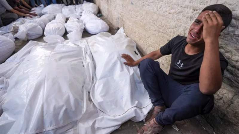 Musk’s Grok Chatbot Suspended for Weighing in on Israel-US Gaza Genocide