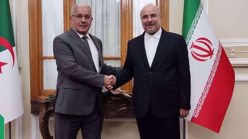 Iran Urges Muslim Countries to Take ‘Serious’ Stance Against Recurring Desecration of Qur’an