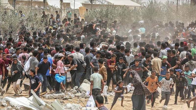 65 Martyrs in Gaza Since Dawn Yesterday