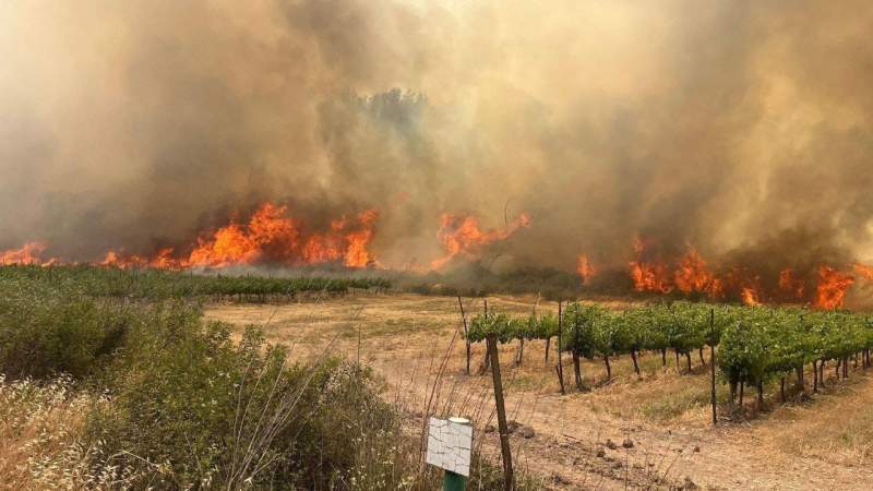 Massive Fires Spread in Occupied Al-Quds Hills; Entity Requests International Aid