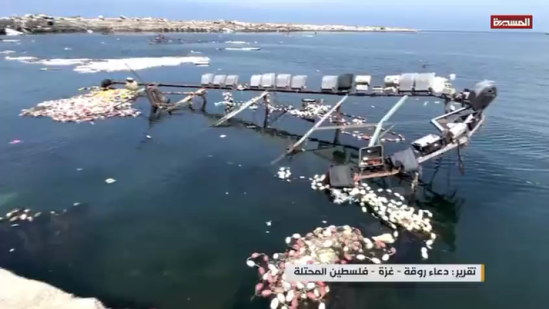From 5,000 to a Few Hundred- Systematic Targeting of Gaza's Fishing Community