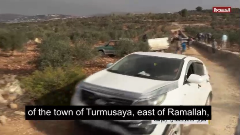 Settler Attacks on Residents of Turmusaya Town East of Ramallah