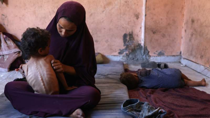 Israel’s Weaponization of Starvation in Gaza Amounts to ‘war crime’: World Assembly