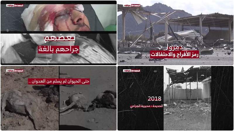 Jan. Over 9 Years: Casualties, Livestock Deaths, and Destruction Due to US-Saudi Aggression on Yemen