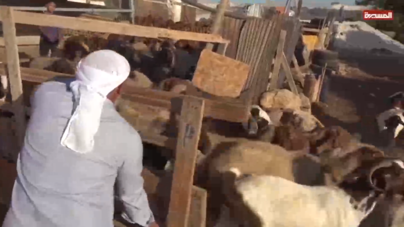 7,000 Souls at Risk: The Ethnic Cleansing of Bedouin Communities Near Quds