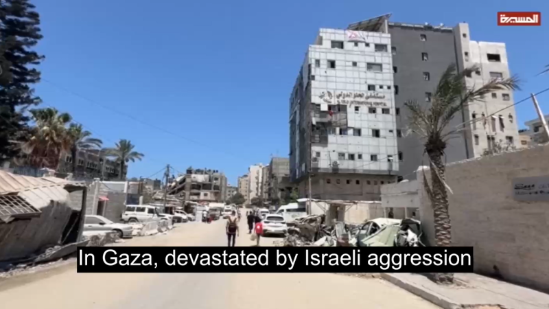 Hunger Kills Twice: UN Says 20% of Gaza Mothers Too Weak to Nurse