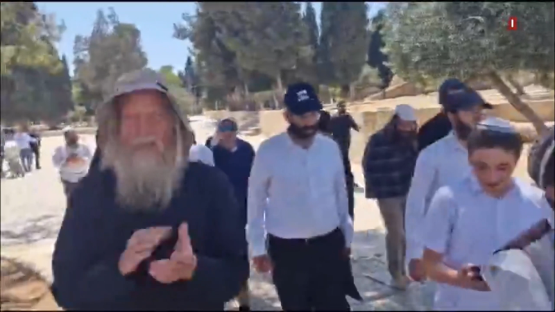 Storming Al-Aqsa, Burning Homes, Killing Children: Settler Terror Unchecked