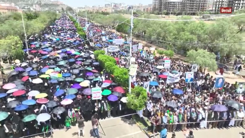 'We Will Not Tire': Yemeni Students and Academics Vow Continued Support for Palestine