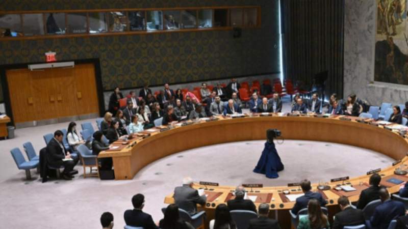 Arab League, OIC, and Egypt Condemn US Veto of Gaza Ceasefire