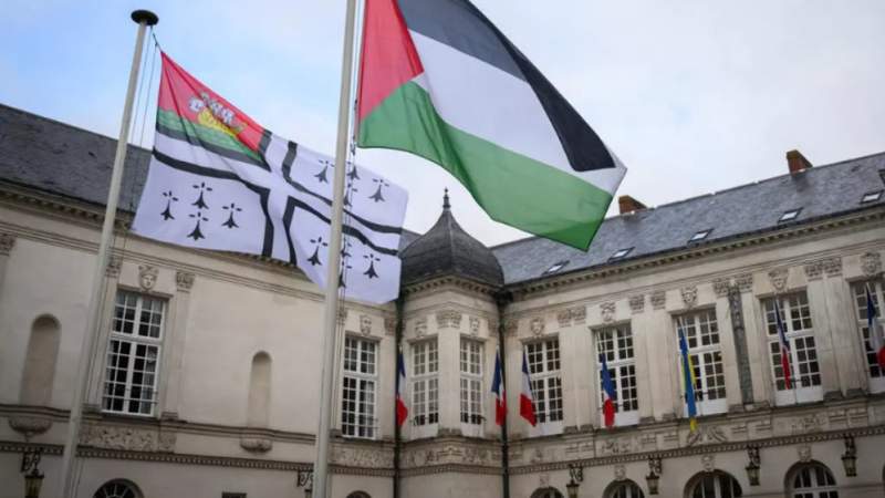 French Town Halls Hang out Palestinian Flag in Defiance of Govt. Warning