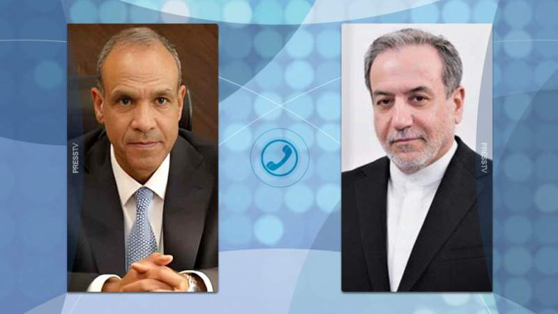 Foreign Ministers of Iran, Egypt Urge Serious Global Action to End Gaza Genocide, Punish Criminals